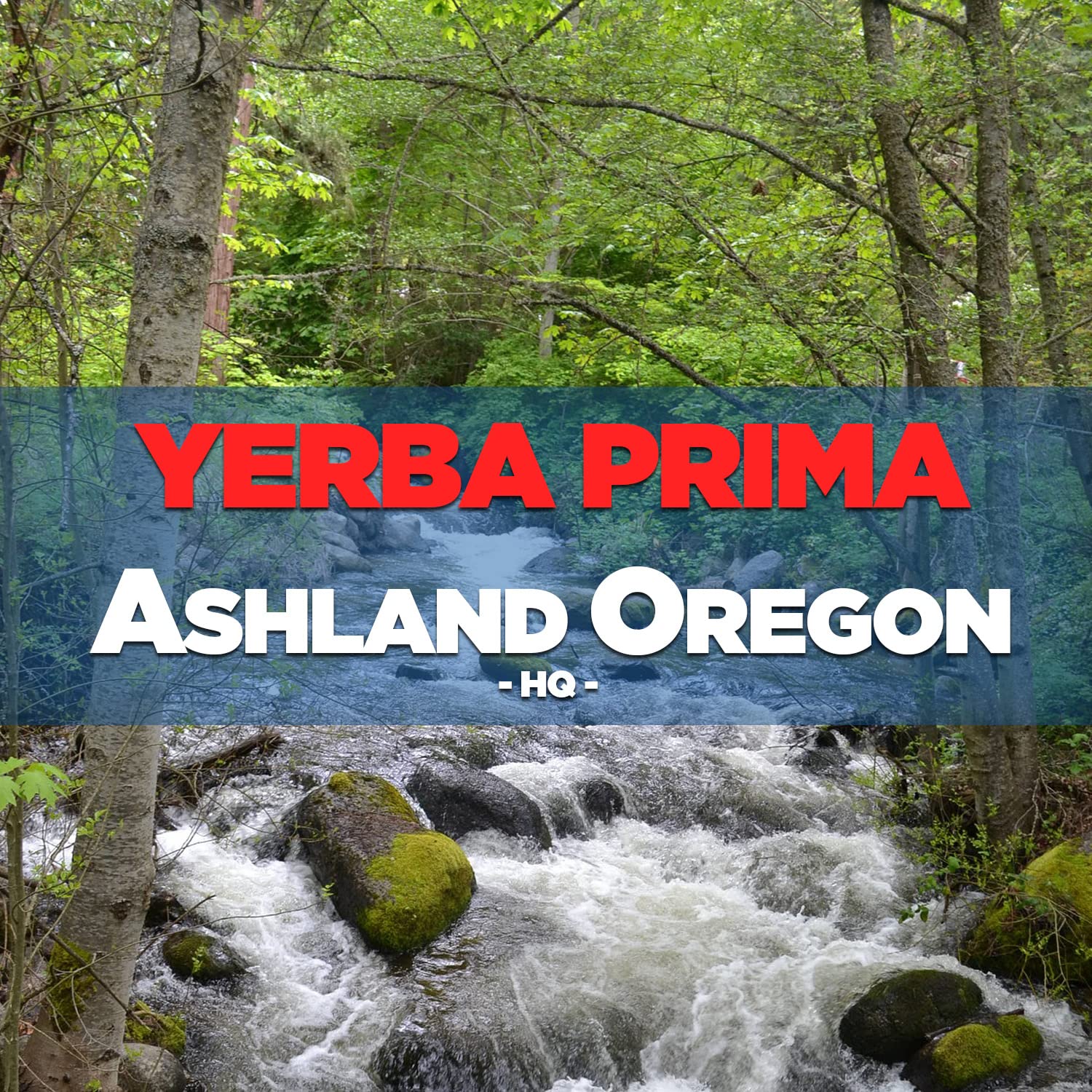 Yerba Prima psyllium powder in a glass demonstrating simple mixing for low-carb meals.
