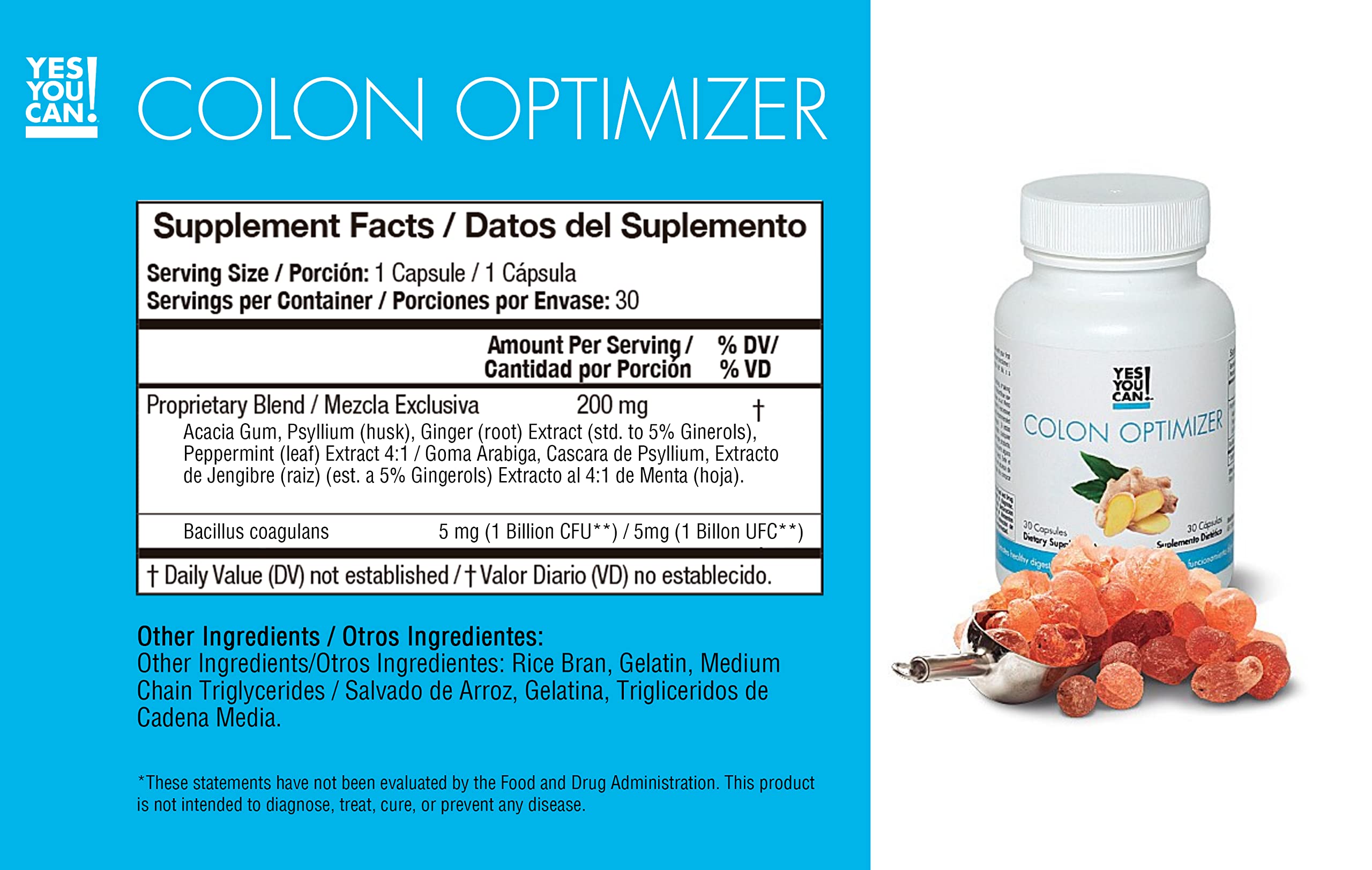 Yes You Can! Transform supplements bottles present four capsules for daily wellness support.