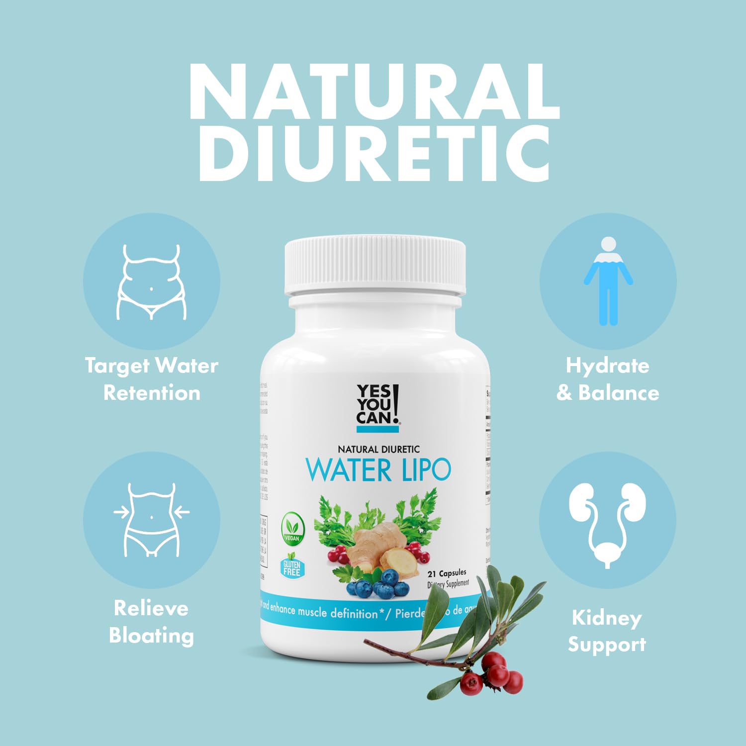 Yes You Can! water lipo ingredients blend shows Ua Ursi, juniper, celery, parsley.