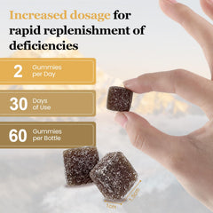 Label detailing Himalayan shilajit and herbal ingredients in Yldegt Gummies