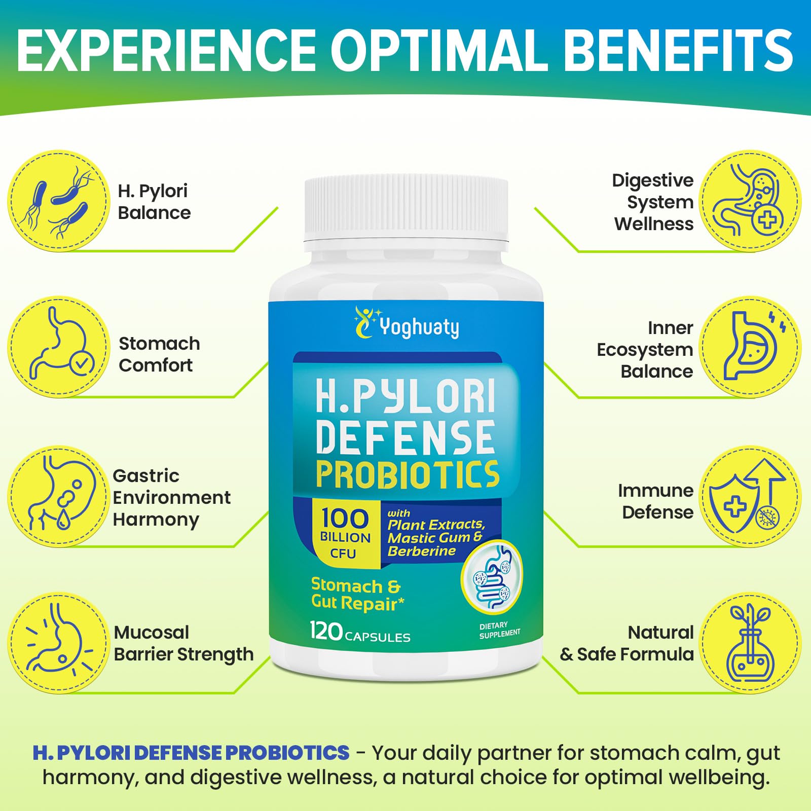Yoghuaty H. Pylori Defense zinc carnosine component supports stomach lining care