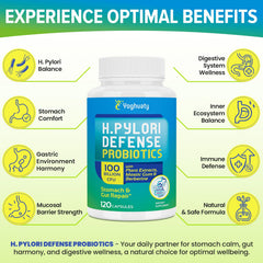 Yoghuaty H. Pylori Defense zinc carnosine component supports stomach lining care