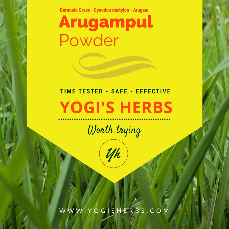 YOGIS HERBS Arugampul powder closeup shows fresh, pure leaves.