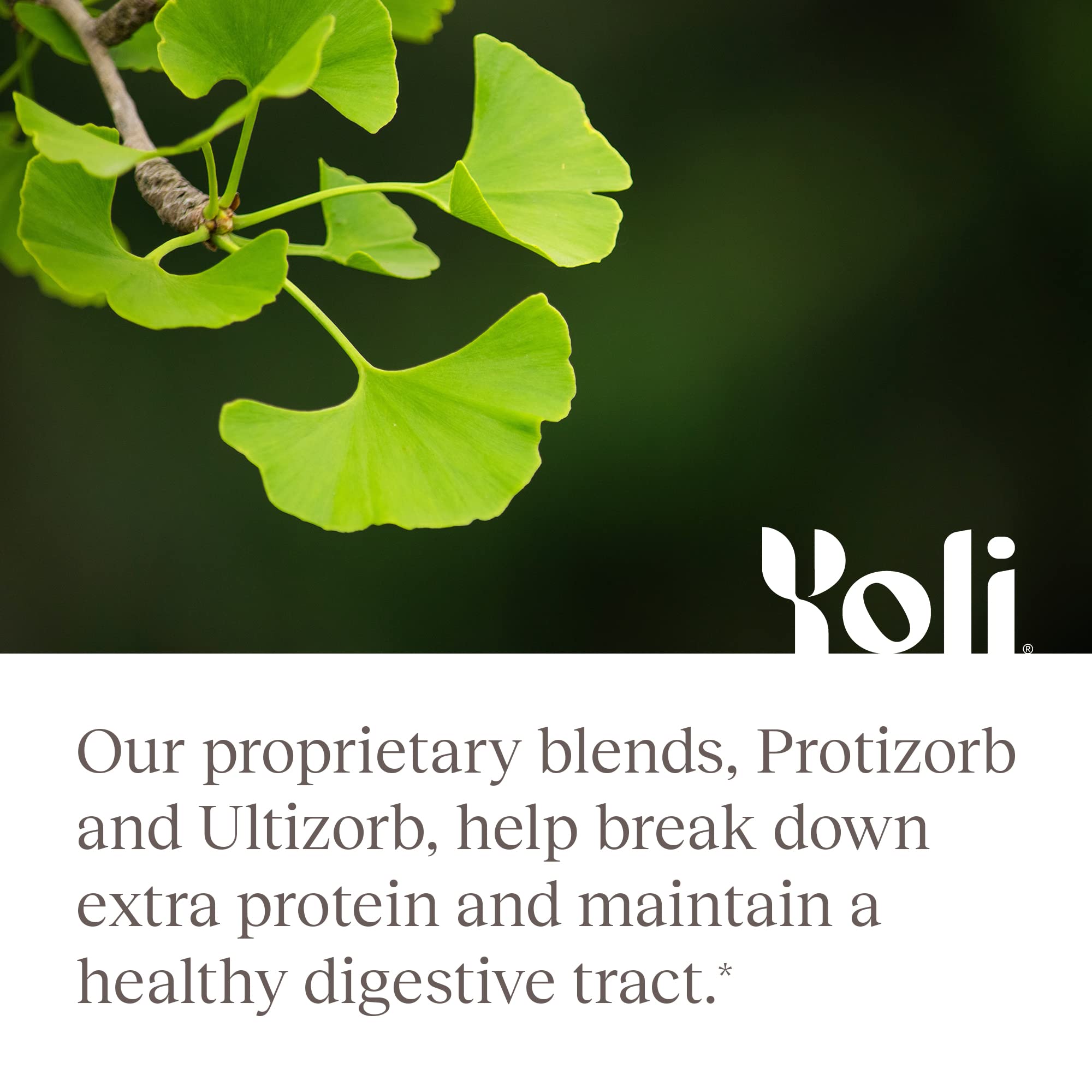 Yoli Enzyme ingredients scoop highlights enzymes for carbohydrate and fat breakdown.