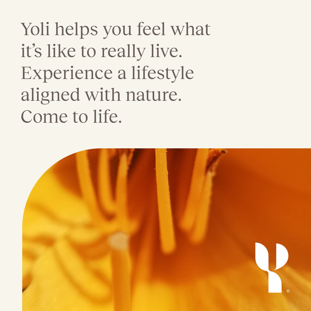 Transformation Kit items arranged for daily use during the program.