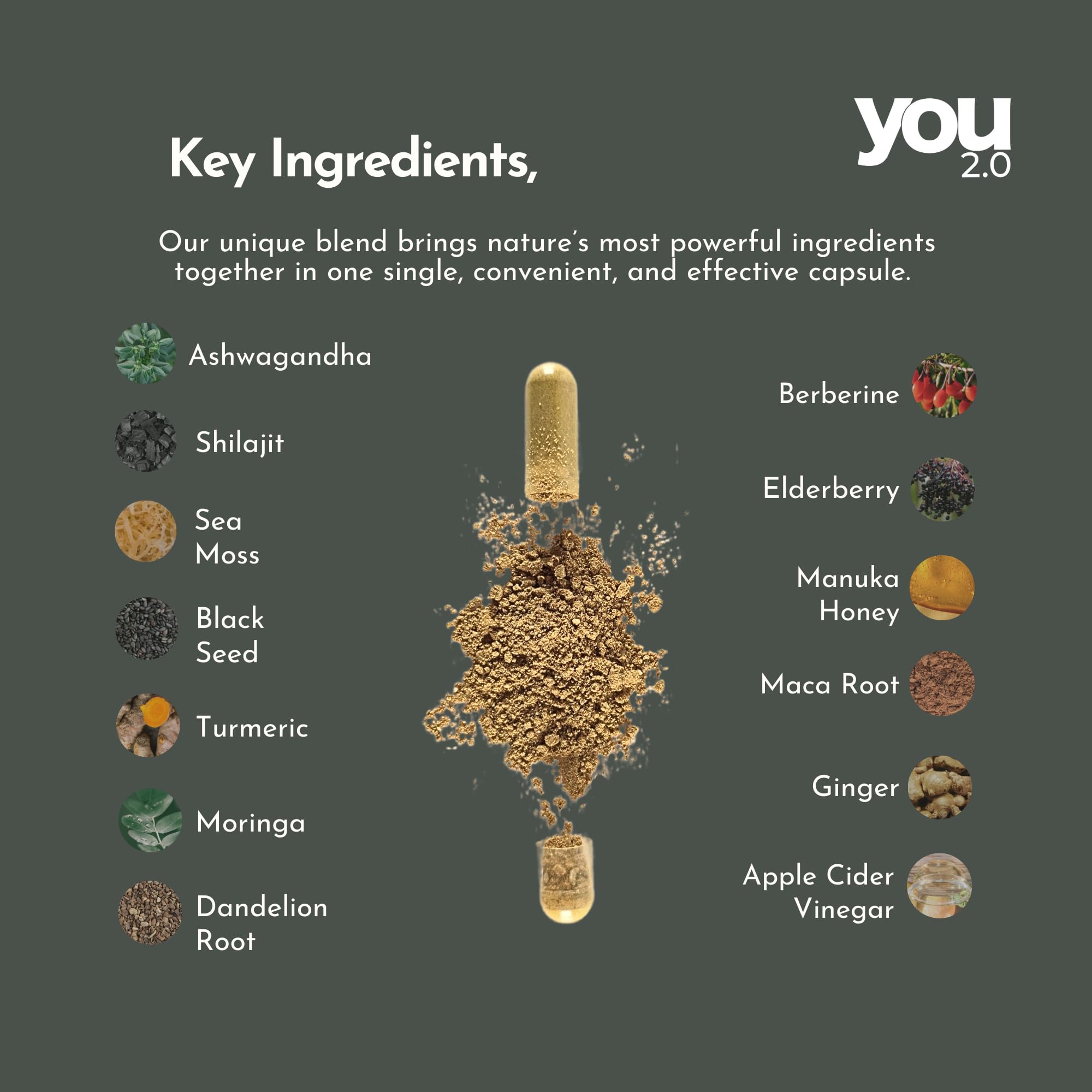 YOU 2.0 Shilajit and Ashwagandha blend bottle supporting stress balance