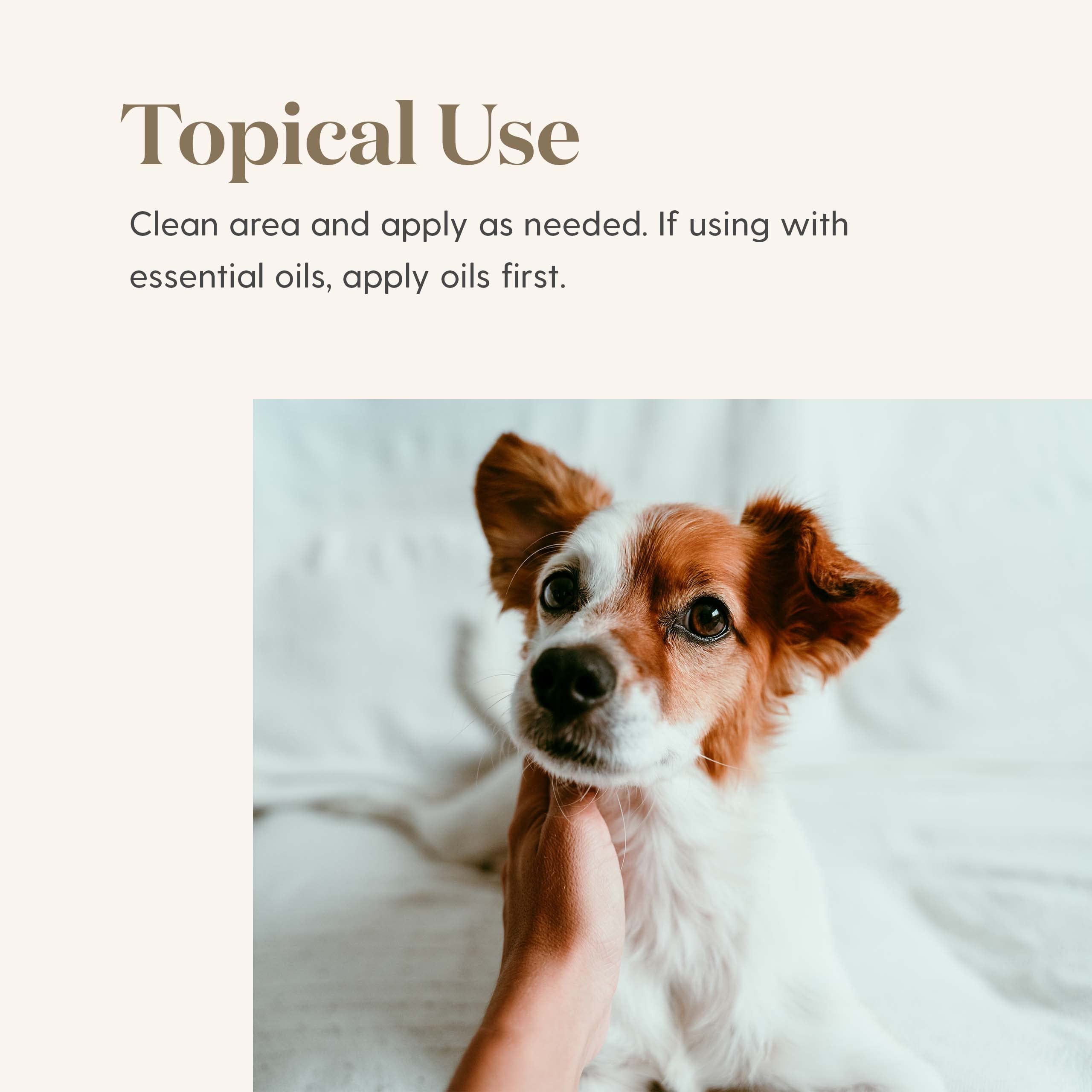 Ointment applied near pet nose for daily skin care and protection.