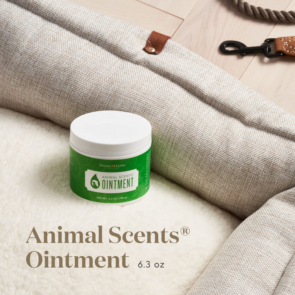 Application on a paw demonstrates gentle care using Animal Scents ointment.