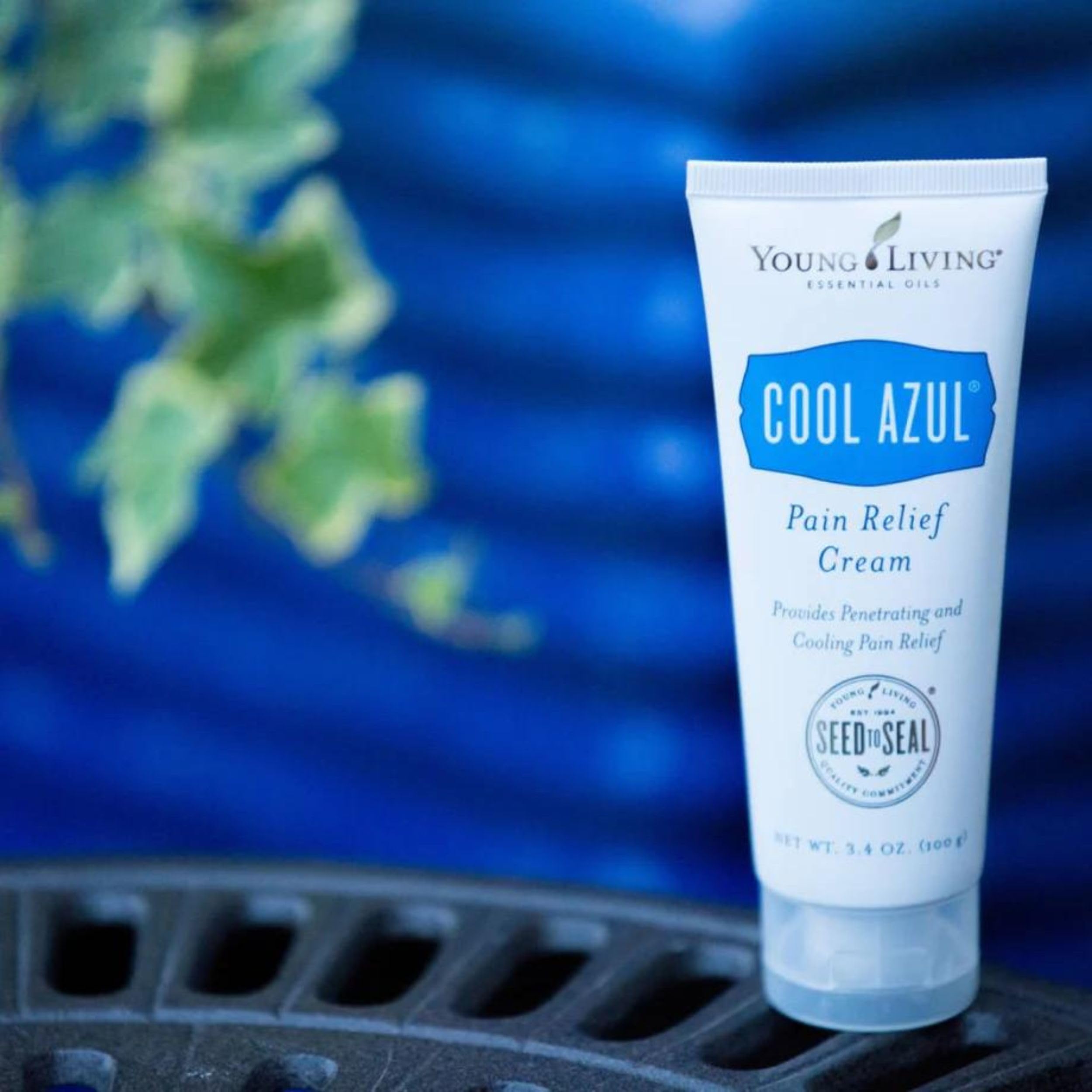 Young Living Cool Azul ingredients blend including menthol, wintergreen, and peppermint.