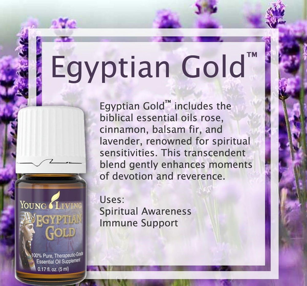Exotic musk notes of Egyptian Gold aroma in close view