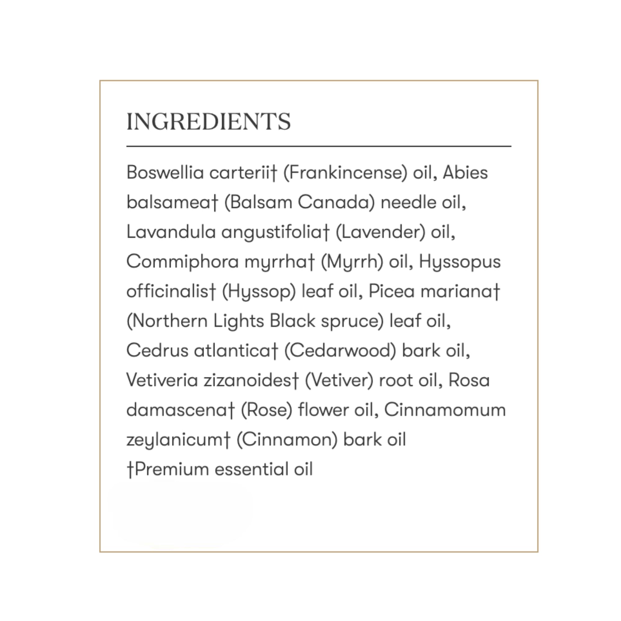 Young Living Egyptian Gold collection image highlighting ancient oils
