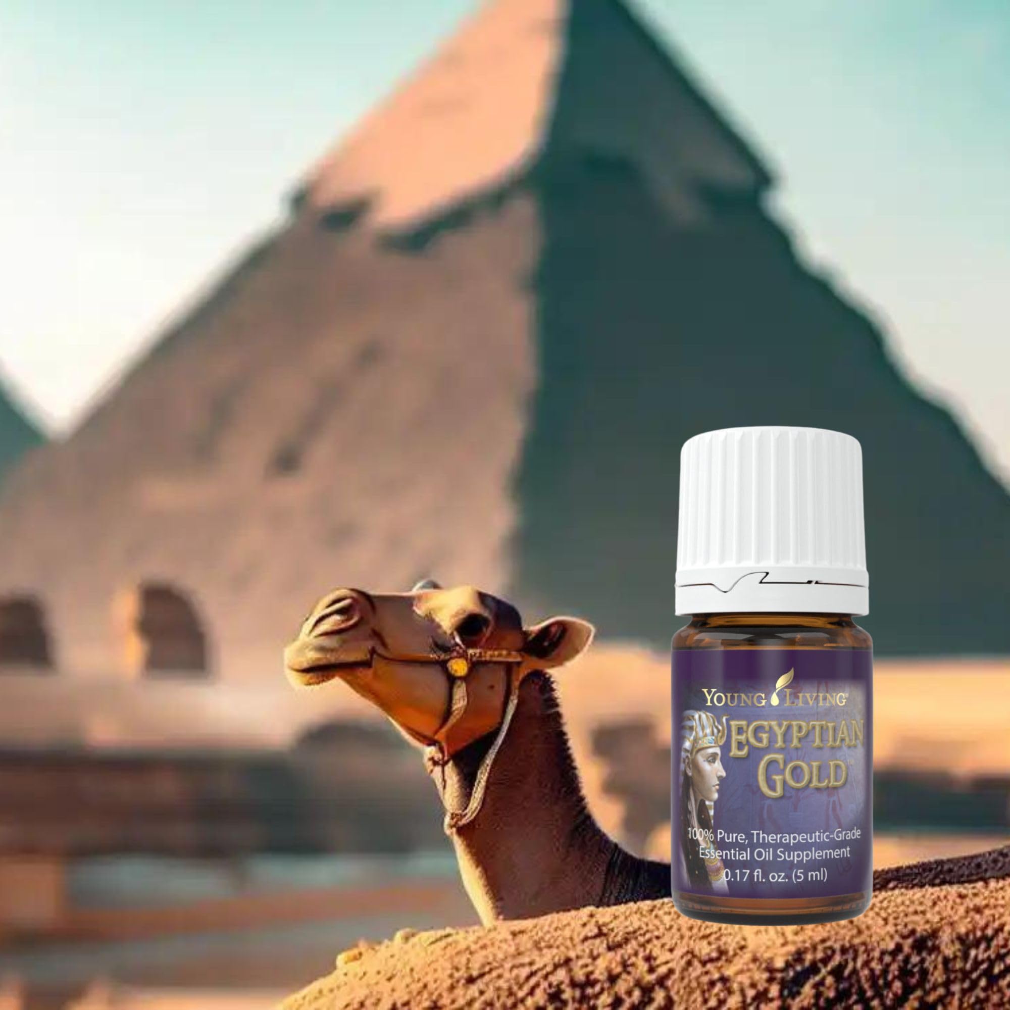 Egyptian Gold essence drops captured for relaxation and focus