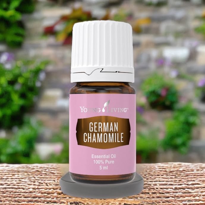 Young Living German Chamomile meditation atmosphere enhances focus and calm.
