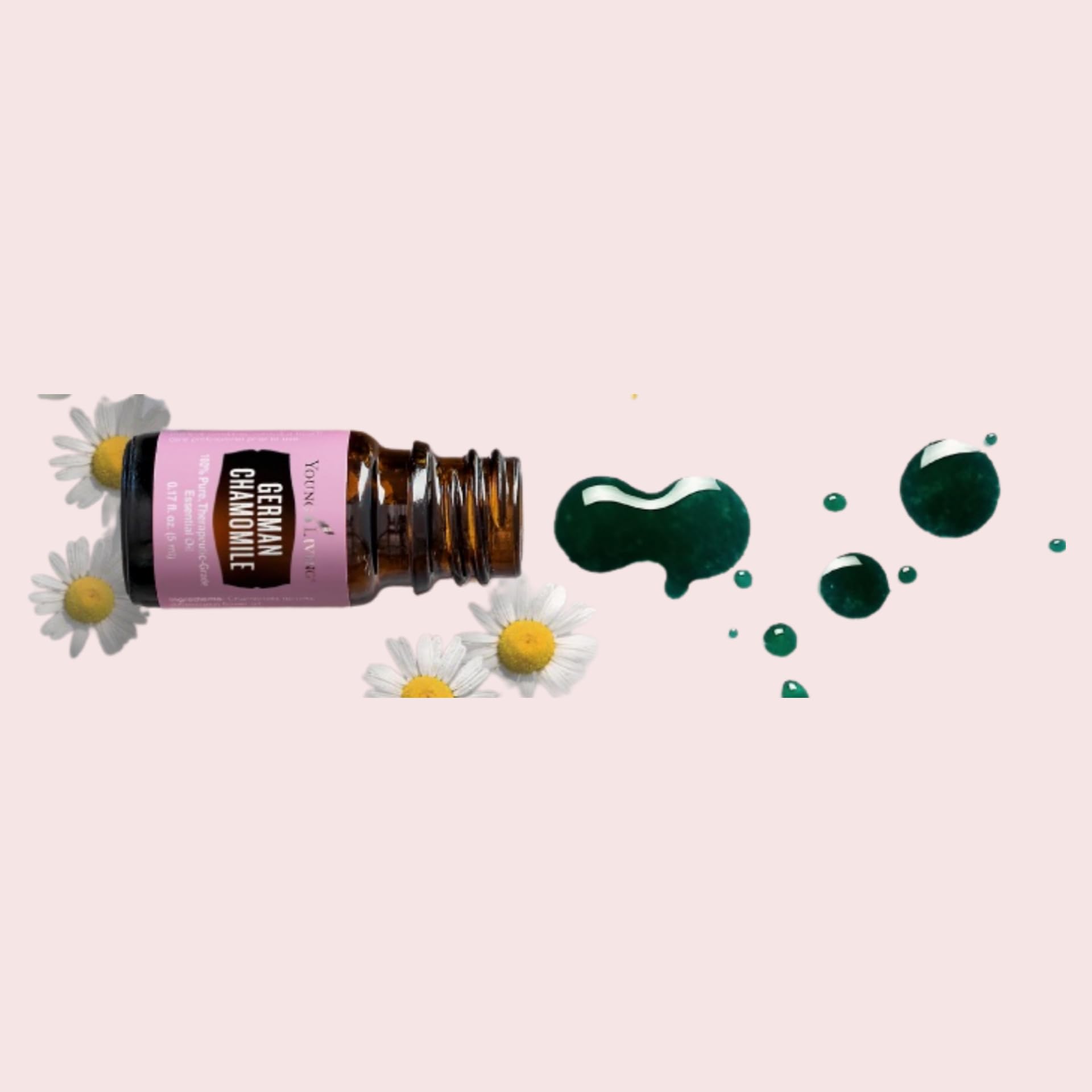 Young Living German Chamomile massage oil for relaxing sessions.