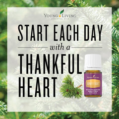 Young Living Gratitude diffuser ambient suggesting calm and focus