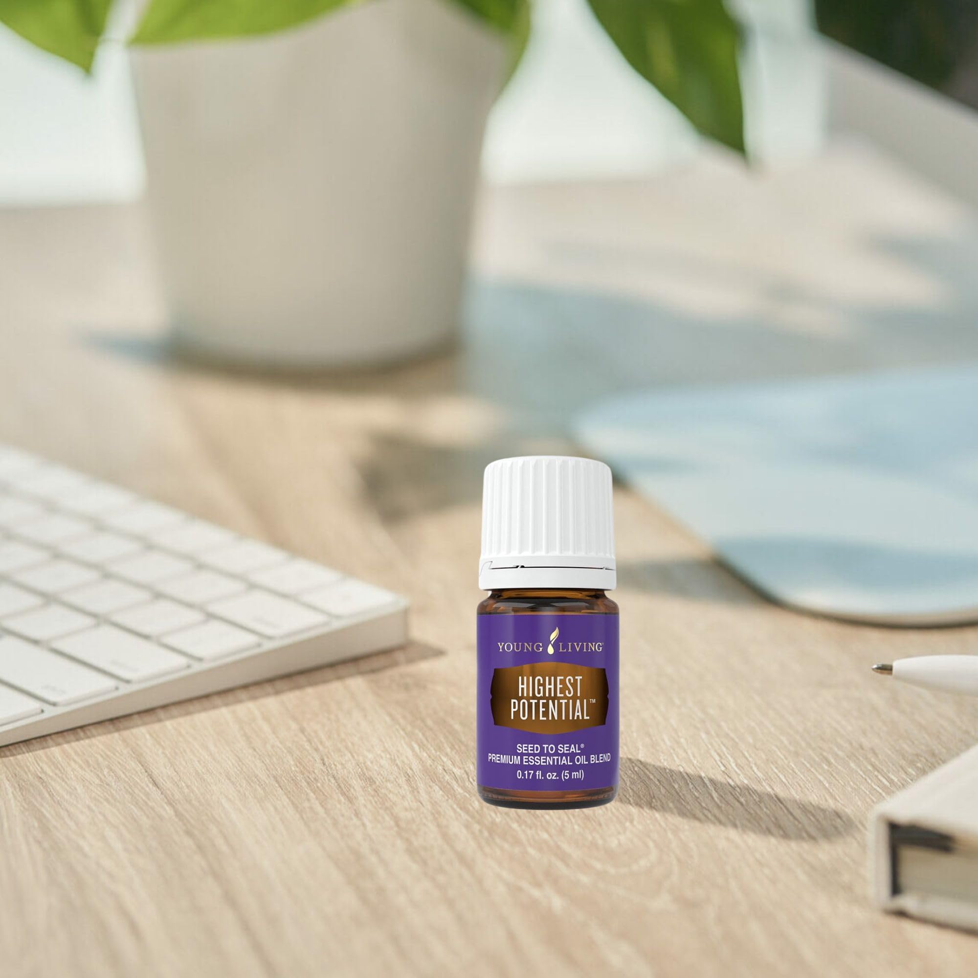 Diffuser-ready presentation of Highest Potential aroma.