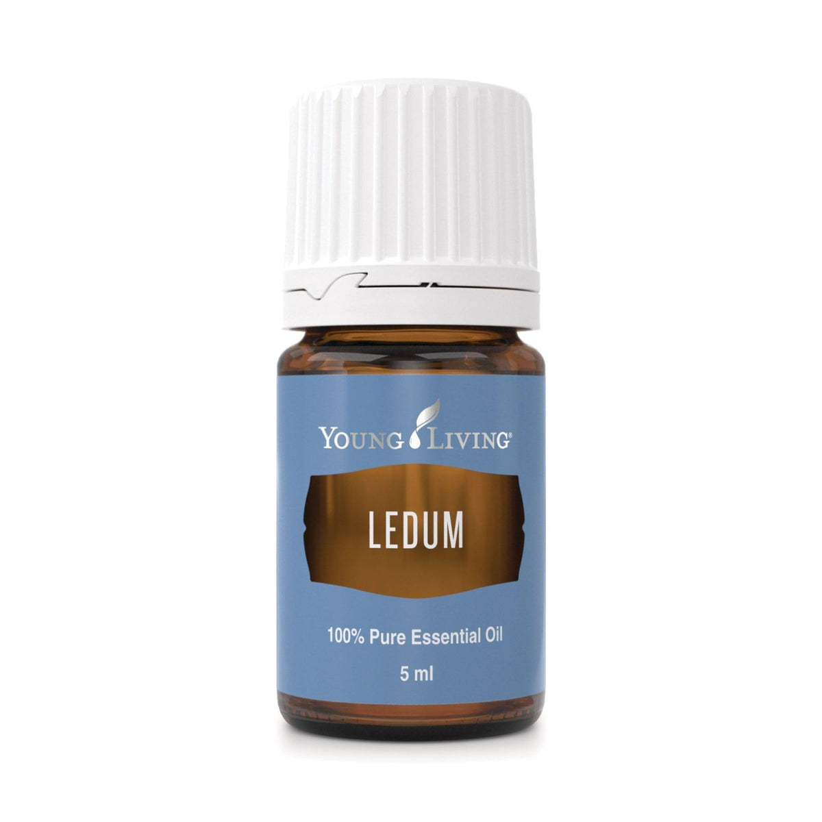 Young Living Ledum oil bottle ready for diffuse aromatherapy in meditation spaces.