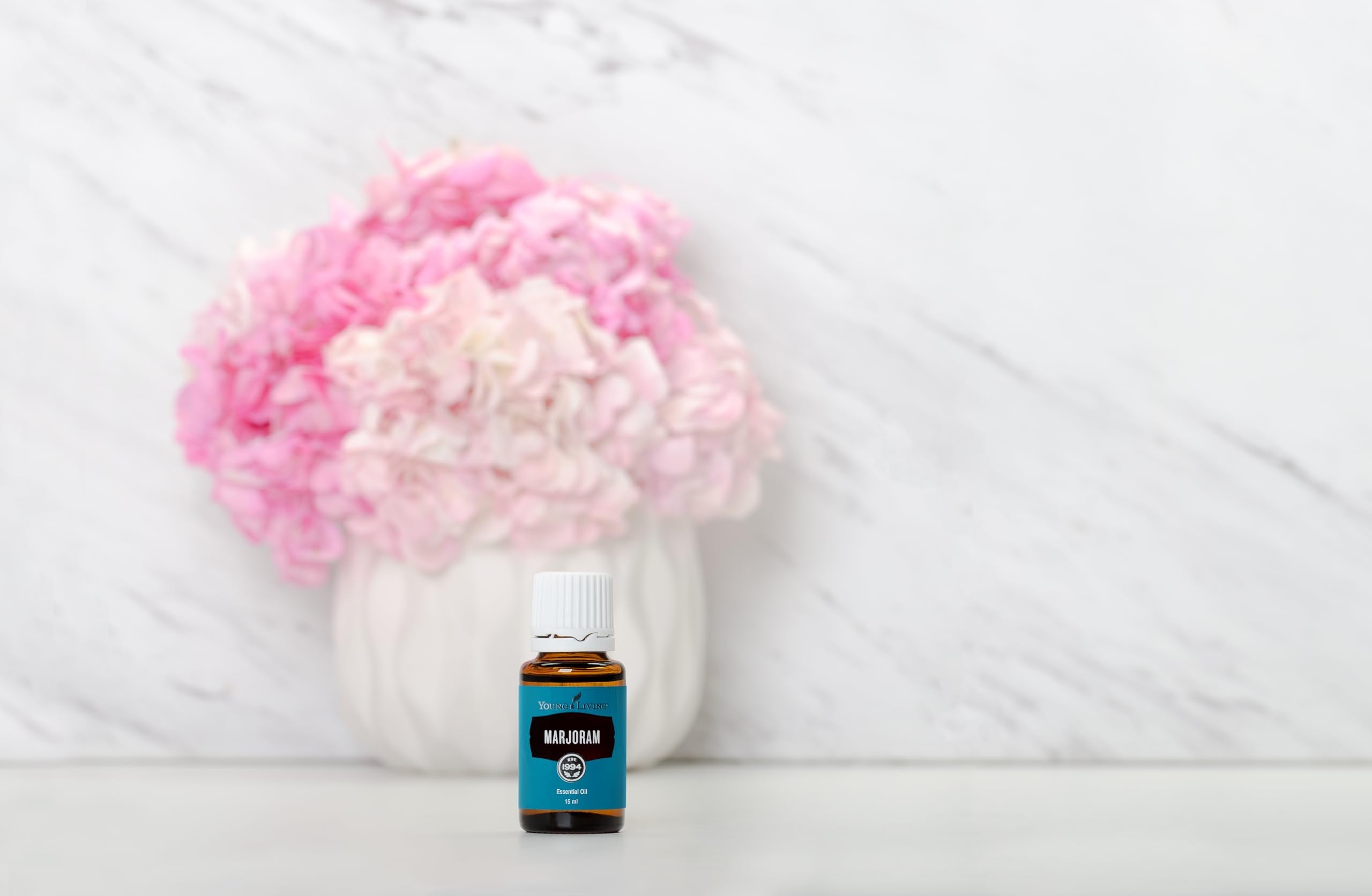 Droplet of Young Living Marjoram oil ready for dilution with carrier oil.