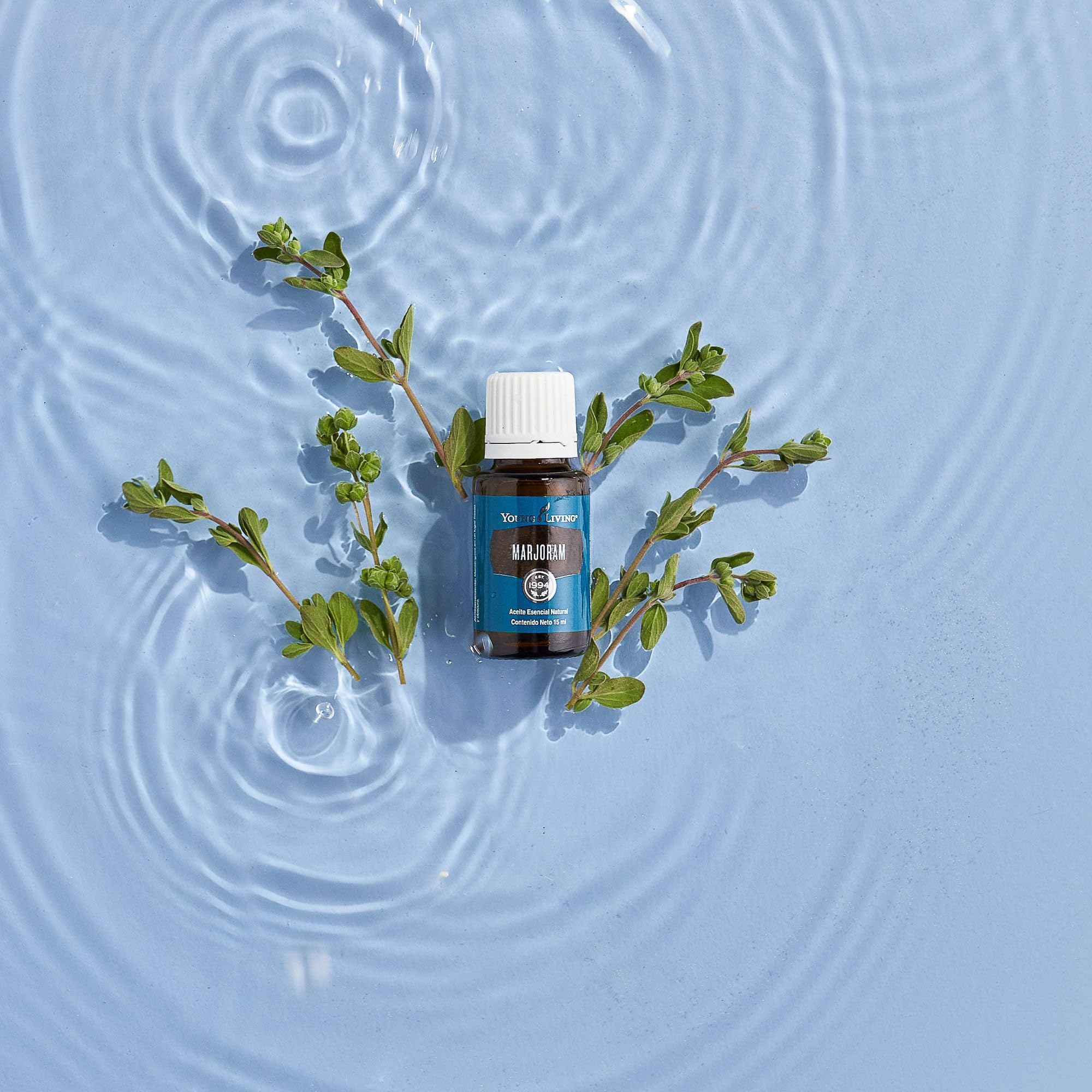 Gift-ready packaging of Young Living Marjoram essential oil.