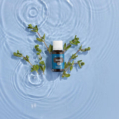Gift-ready packaging of Young Living Marjoram essential oil.