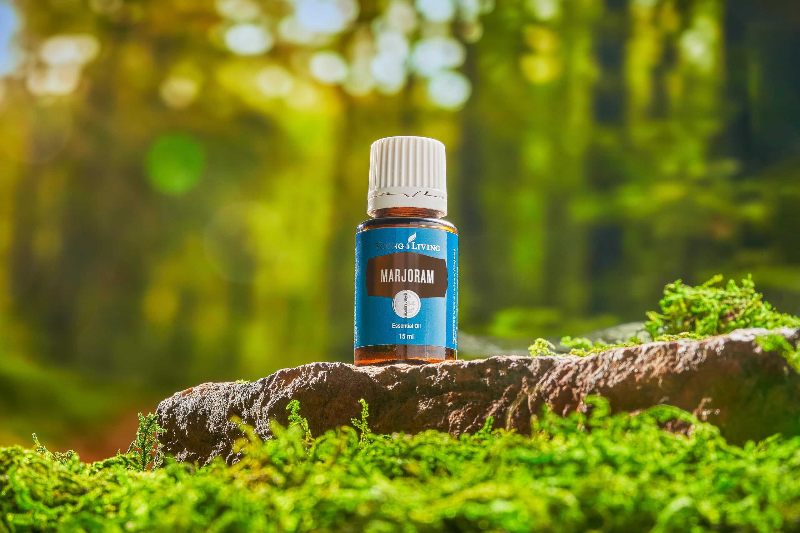 Marjoram essential oil used in a massage to comfort tired muscles.