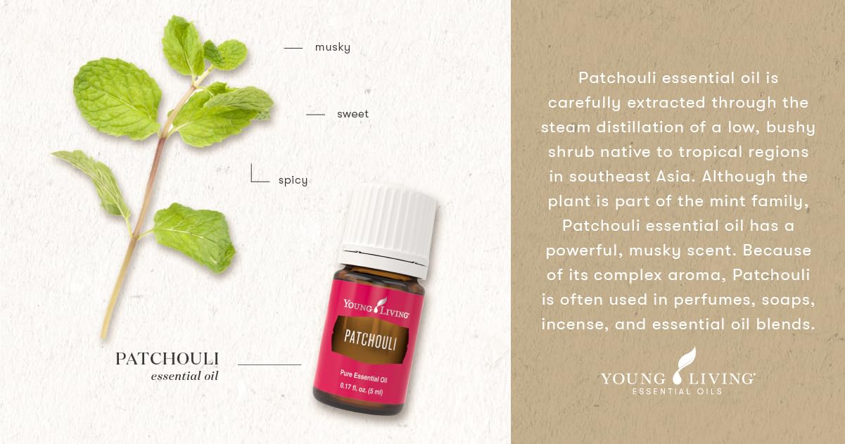 Young Living Patchouli aroma, uplifting mood during daily rituals and meditation.