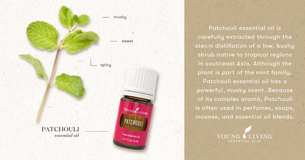 Young Living Patchouli aroma, uplifting mood during daily rituals and meditation.