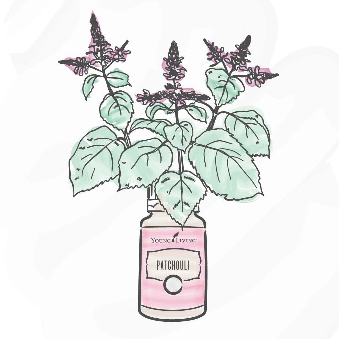 Young Living Patchouli essential oil, may support healthy-looking skin when properly diluted.