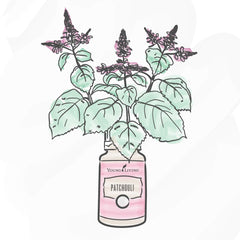 Young Living Patchouli essential oil, may support healthy-looking skin when properly diluted.