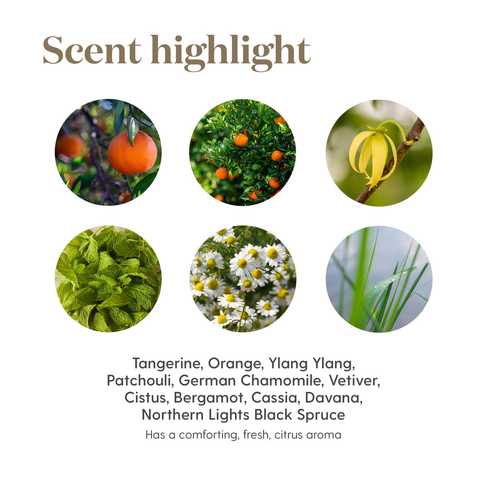 Young Living Peace Calming II gift packaging highlighting a premium essential oil