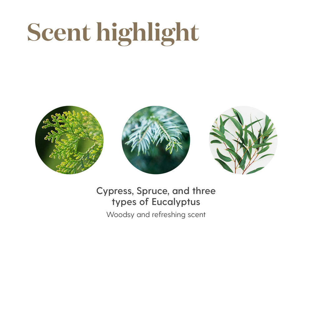 RC essential oil blend diffusing to create a bright atmosphere