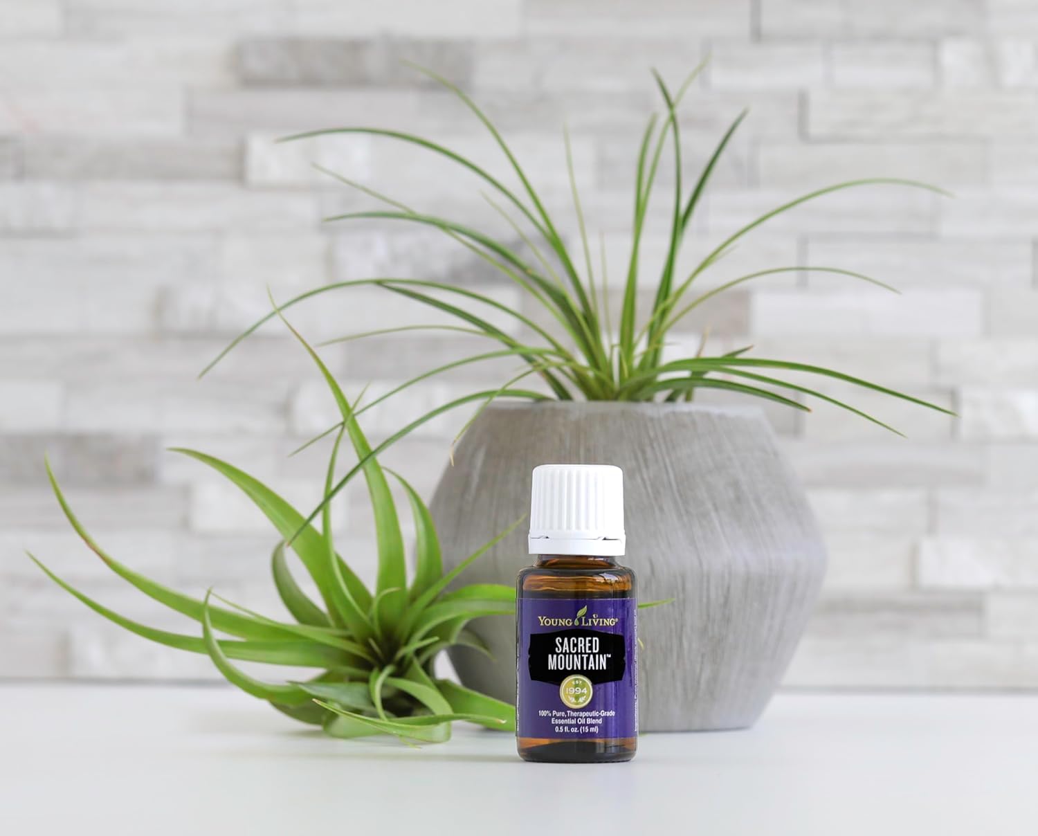 Young Living Sacred Mountain bottle label closeup highlighting earthy notes and authentic purity.