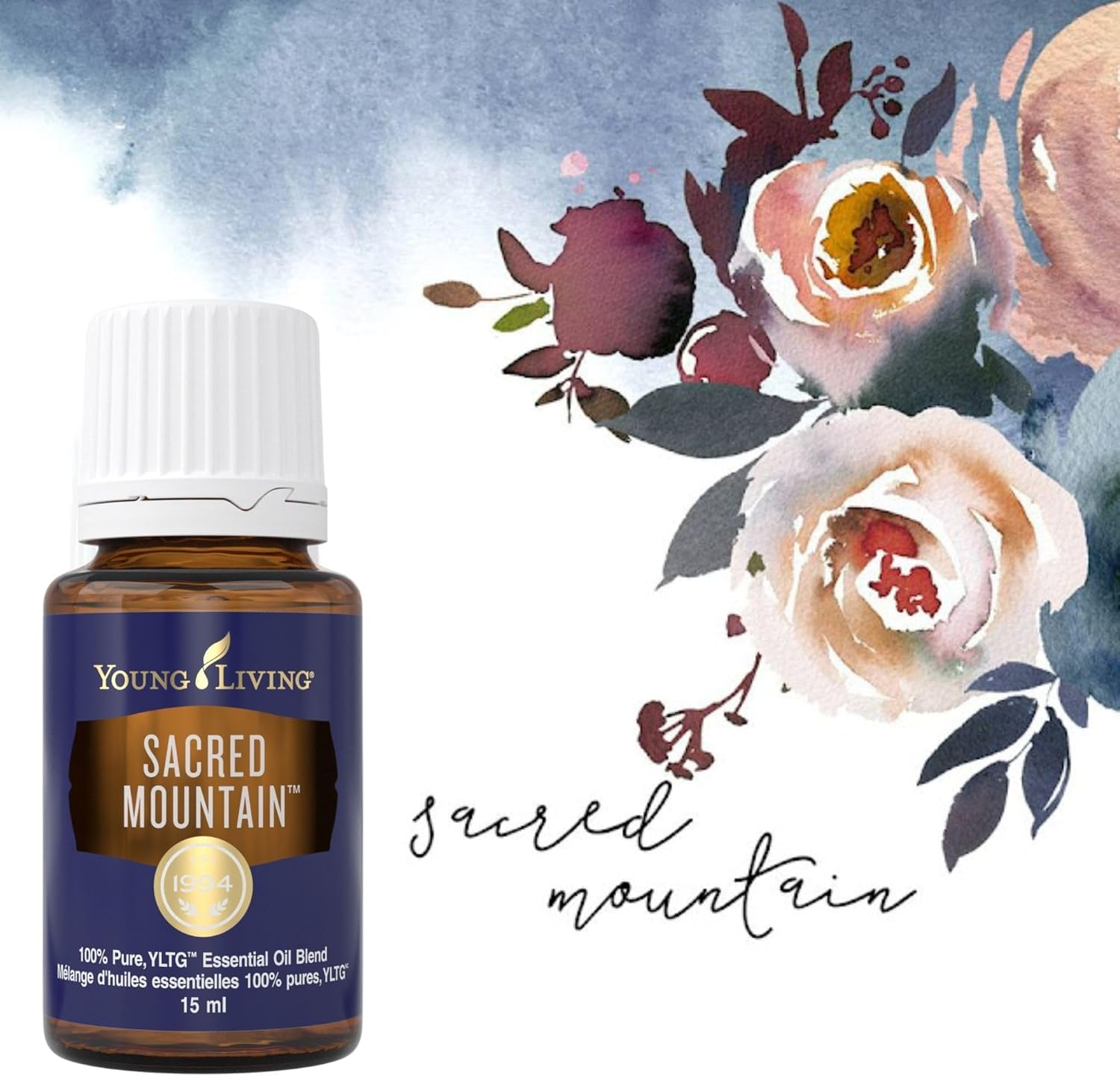 Young Living Sacred Mountain diffuser-ready setup for a serene, nature-inspired space.
