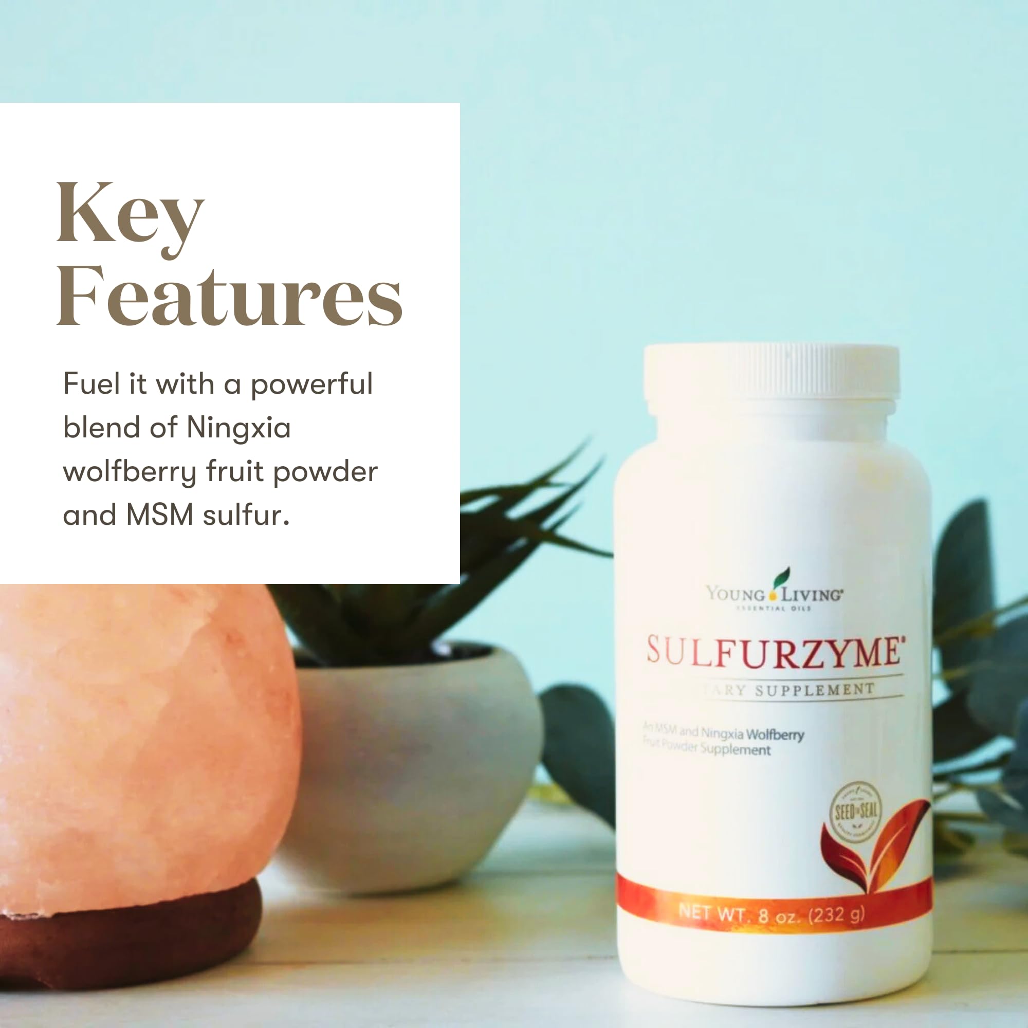 Young Living Sulfurzyme powder jar and label for easy daily routines and energy support.