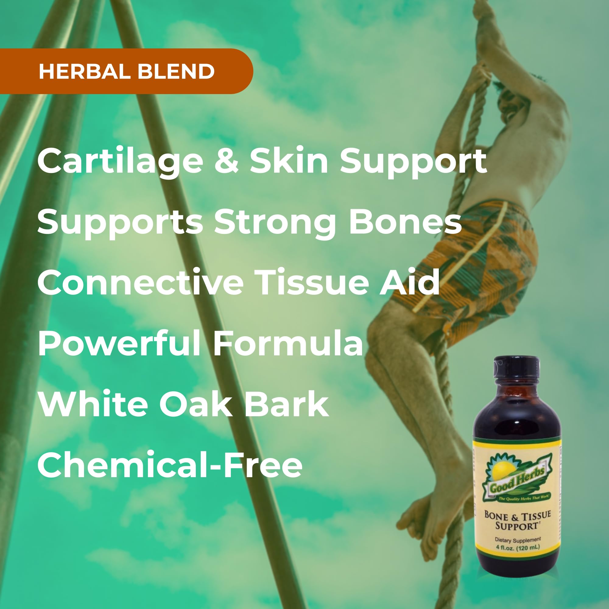 Youngevity Bone and Tissue Support hydrangea image for skin and tissue support