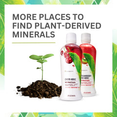 Youngevity Plant Derived Liquid Minerals pack-4 display for bulk plant minerals.