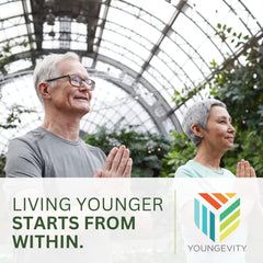 Youngevity Ultimate Niacin Plus nattokinase—enzyme focus for potential circulatory support.