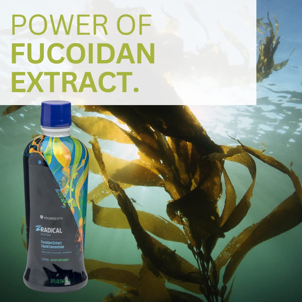 Youngevity ZRadical label art communicates premium fucoidan with dragonfruit and wolfberry extracts.
