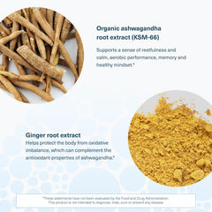 Youtheory Ashwagandha GMP-certified facility ensures quality manufacturing.