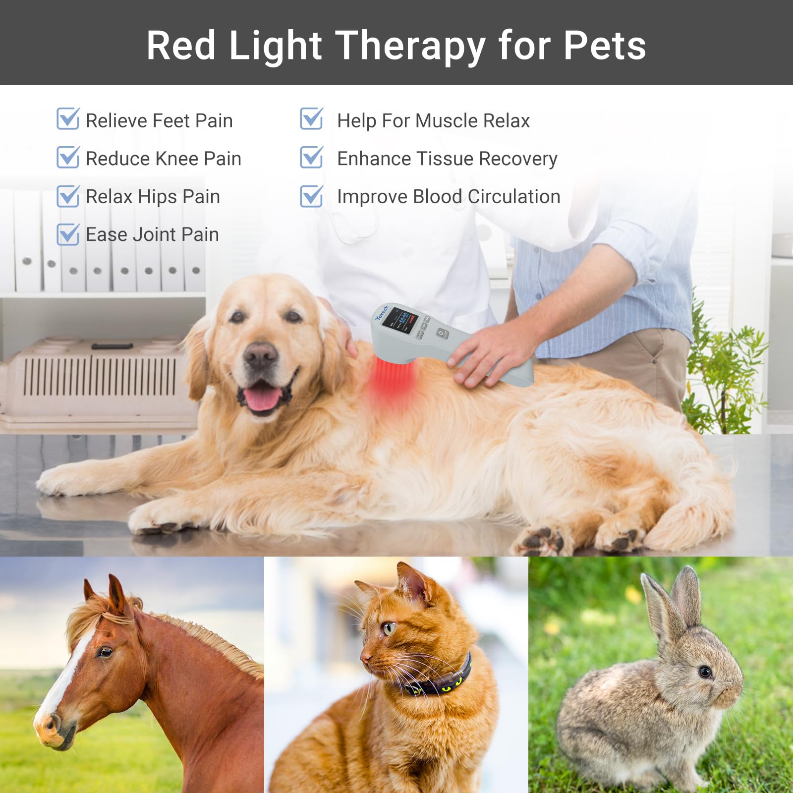 Yoveck device used with pets for gentle, safe at-home use.