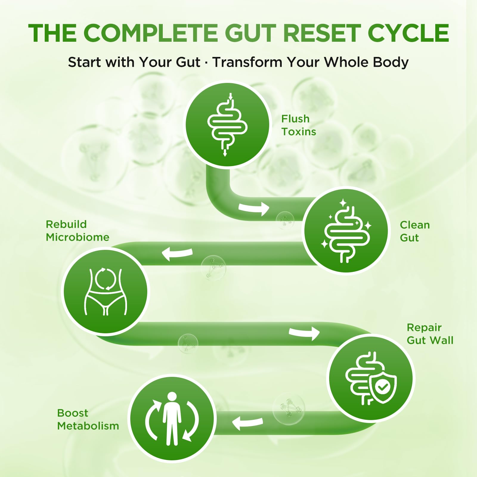 Ypower Senna leaf ingredients close-up for natural gut support.