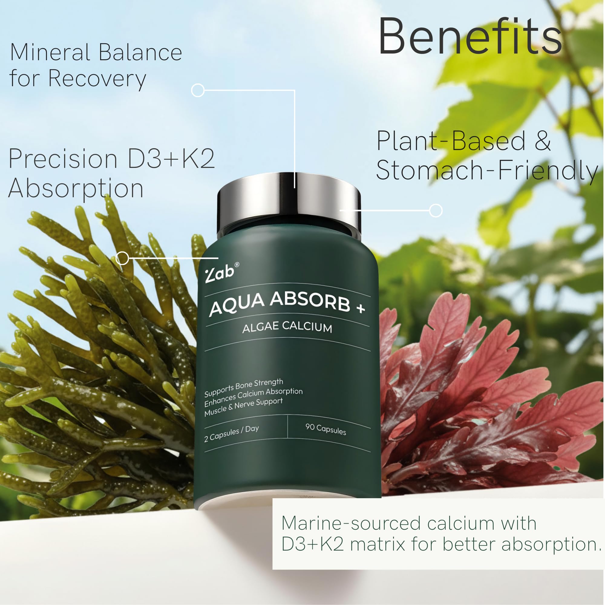 ZAB Algae Calcium daily routine use with two capsules daily