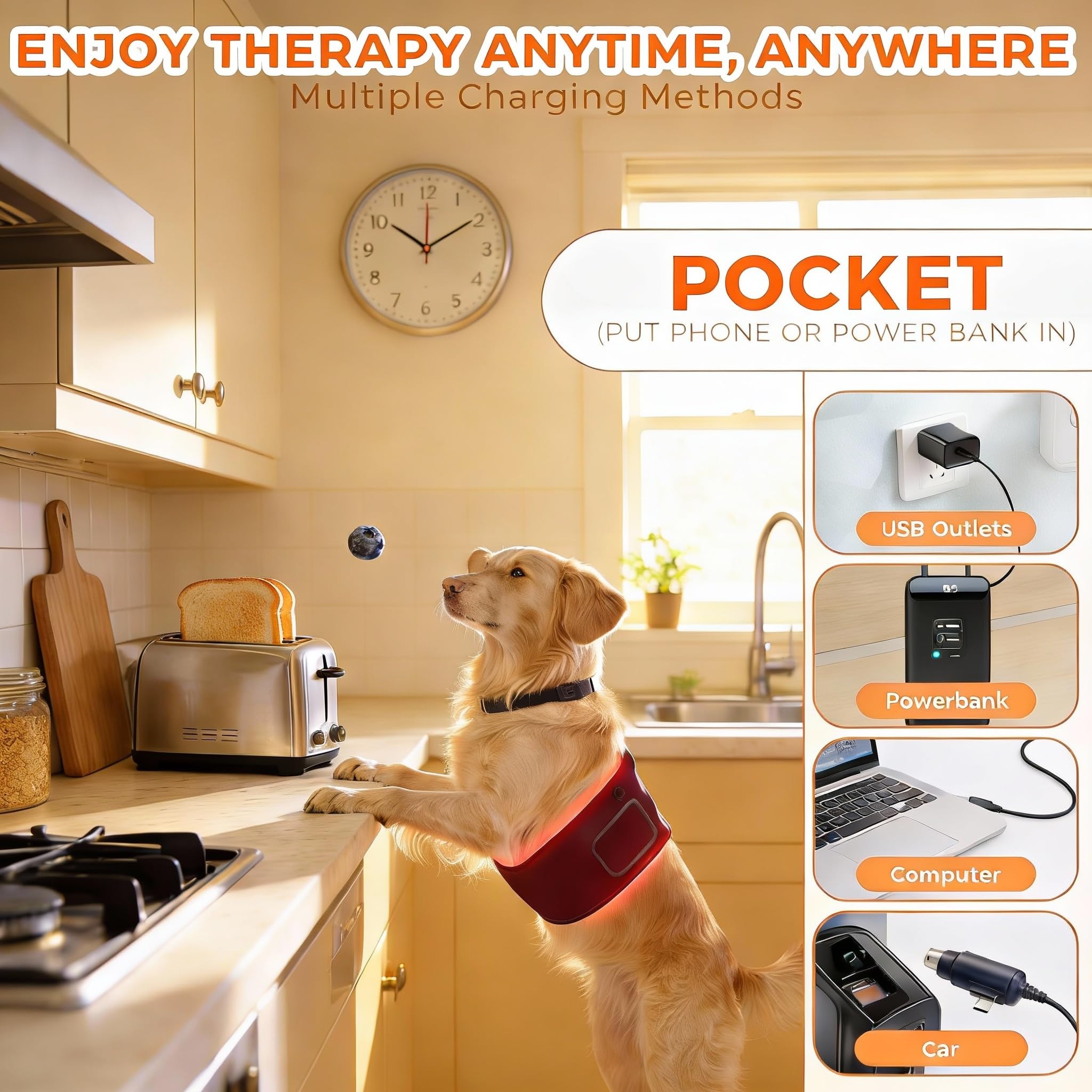 ZAEXAE dual-wavelength belt supports dogs, cats, and other common pets.