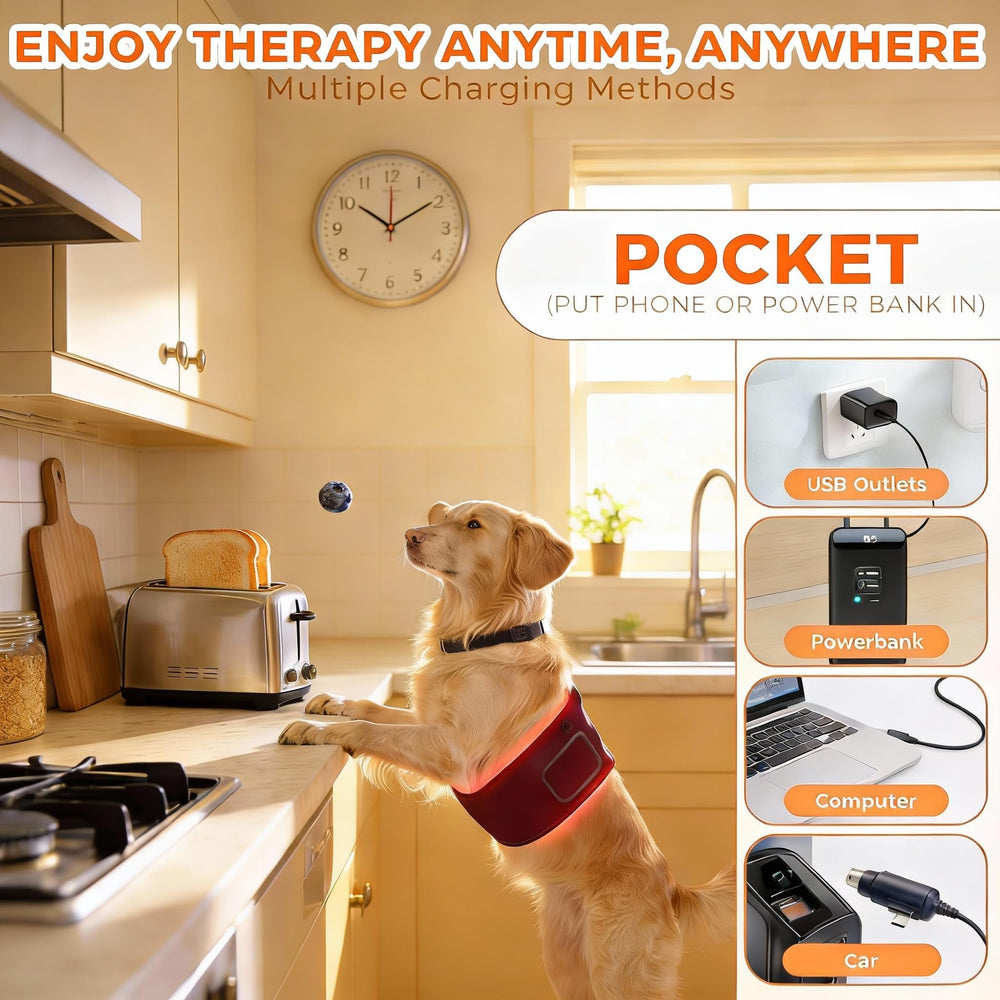 ZAEXAE dual-wavelength belt supports dogs, cats, and other common pets.