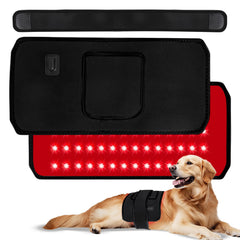 ZAEXAE infrared therapy belt on a dog, wrapped around the torso for joint relief.