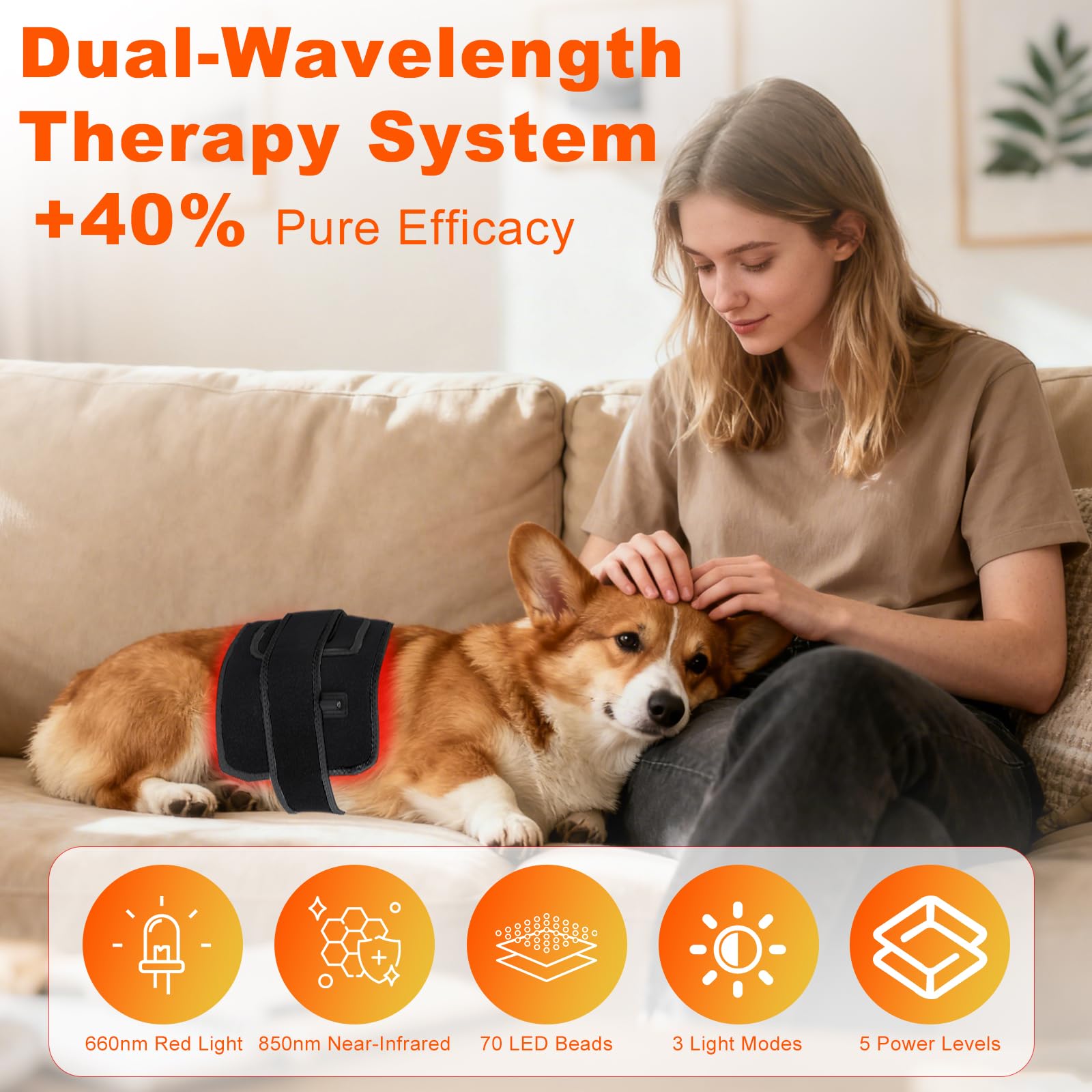 ZAEXAE belt positioned at a pet’s joint area, potential support for movement comfort.