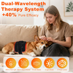 ZAEXAE belt positioned at a pet’s joint area, potential support for movement comfort.