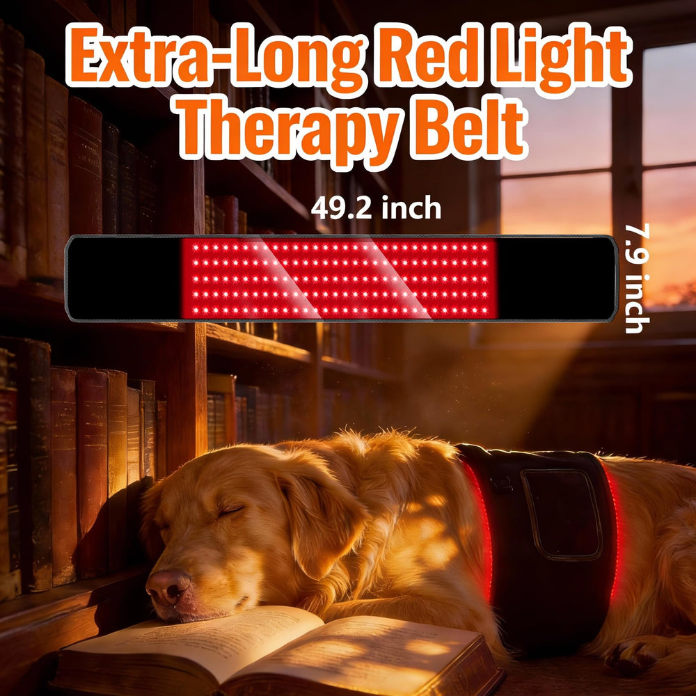 ZAEXAE pet therapy belt with remote control for easy session adjustments.