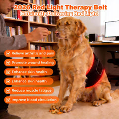 ZAEXAE therapy belt timer function enables safer use during treatments.