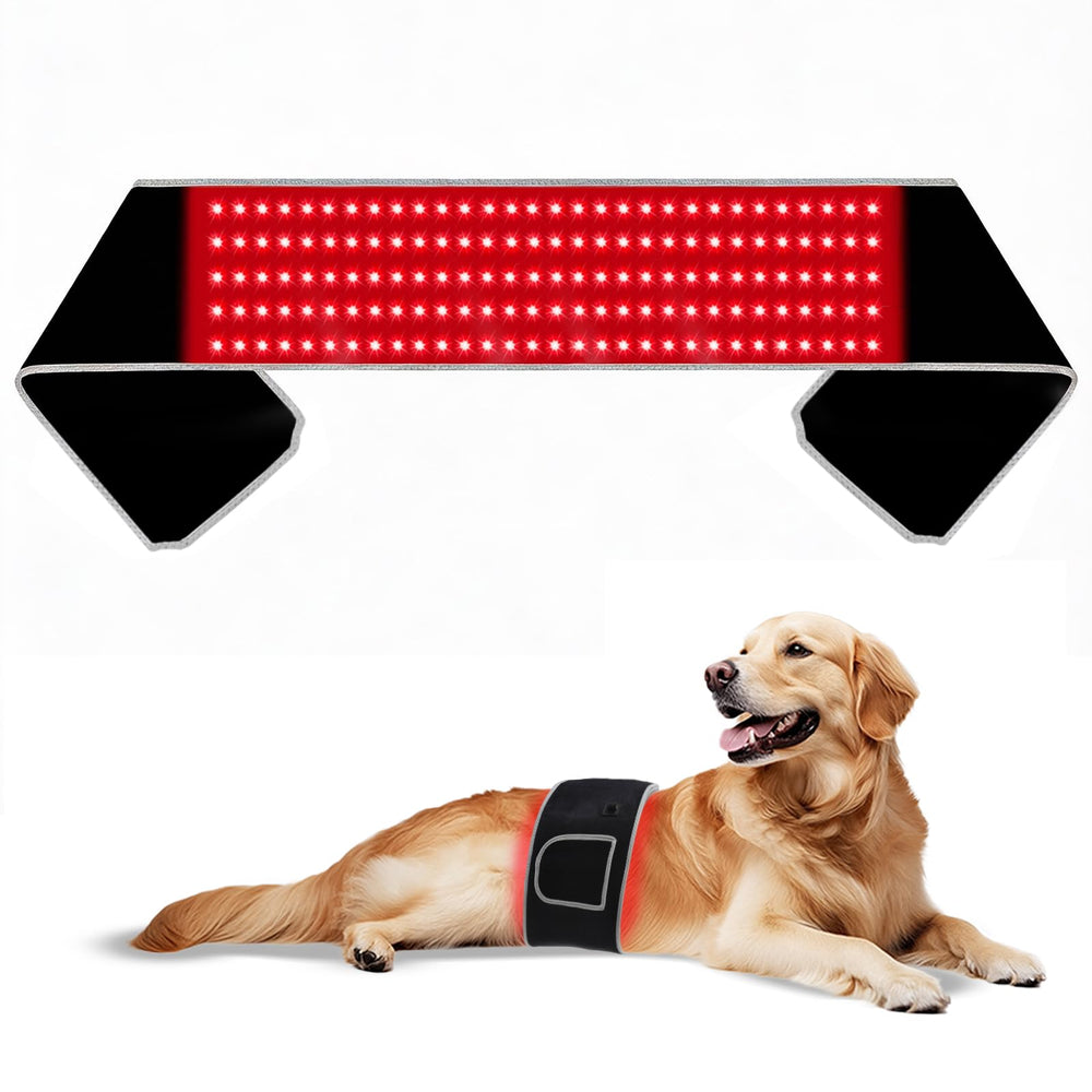 ZAEXAE red light therapy belt coats shine visibly after gentle sessions.